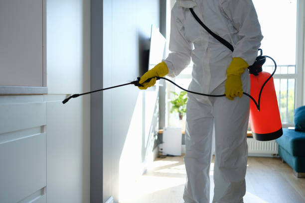 Best Mold Damage Repair  in Oaklyn, NJ