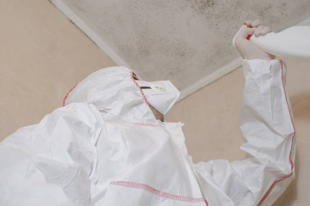 Best Commercial Mold Removal  in Oaklyn, NJ