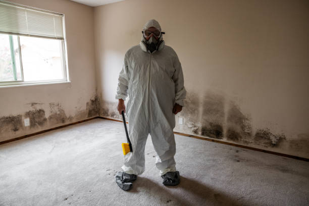 Best Fast Mold Removal  in Oaklyn, NJ