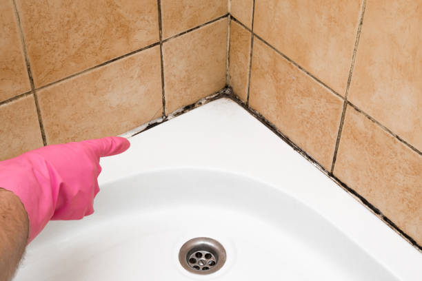 Mold Removal Process in Oaklyn, NJ